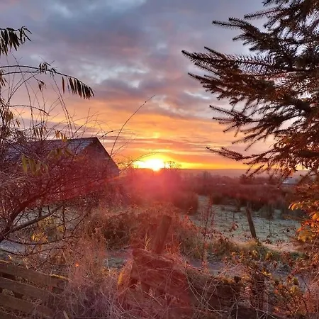 Forest View بيت للعطل *