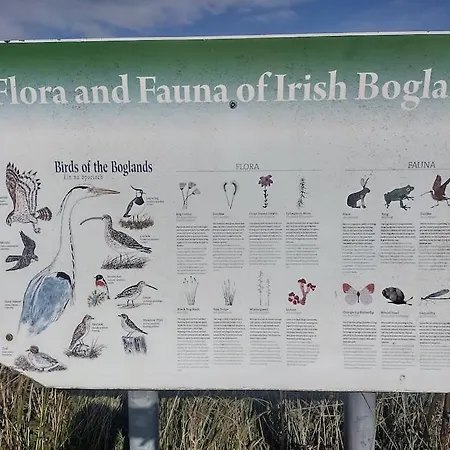 Holiday home Forest View Ballaghaderreen