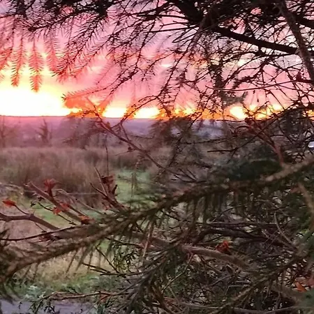 Forest View بيت للعطل Ballaghaderreen