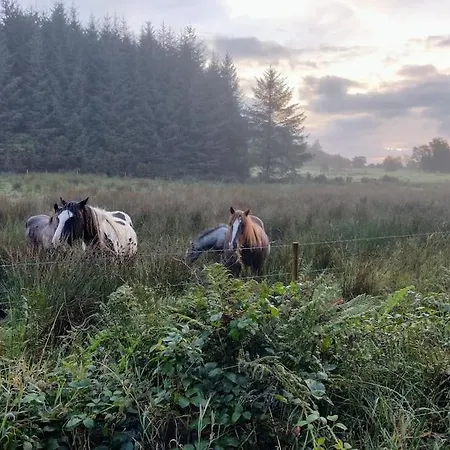 Forest View Casa de Férias