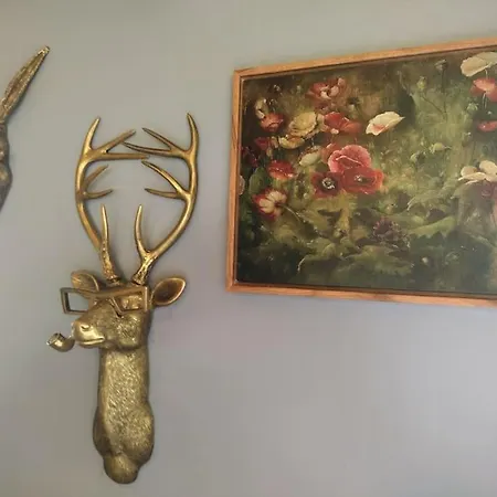 بيت للعطل Forest View