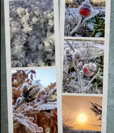 Forest View * Ballaghaderreen