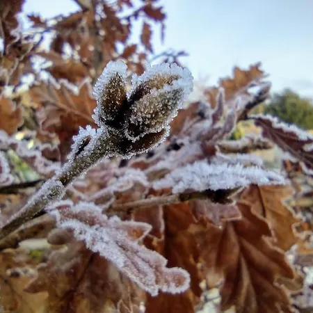 بيت للعطل Forest View Ballaghaderreen
