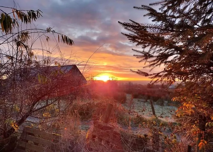 Forest View Holiday home *