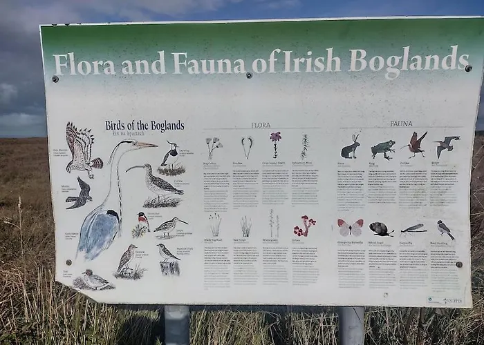 Holiday home Forest View Ballaghaderreen