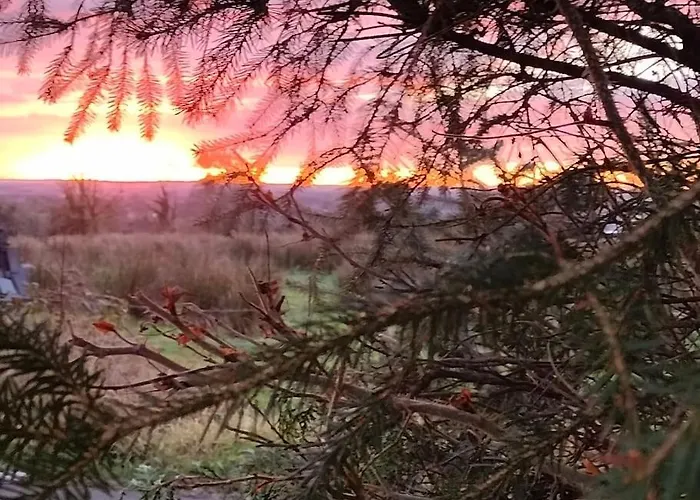 Forest View Holiday home Ballaghaderreen