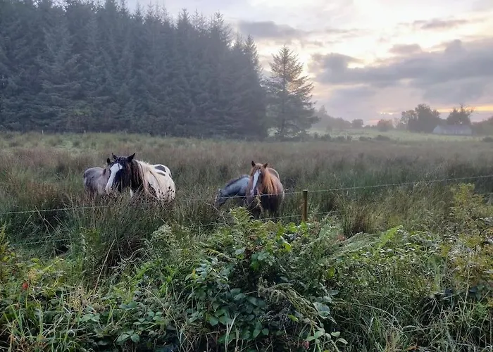 Forest View Holiday home