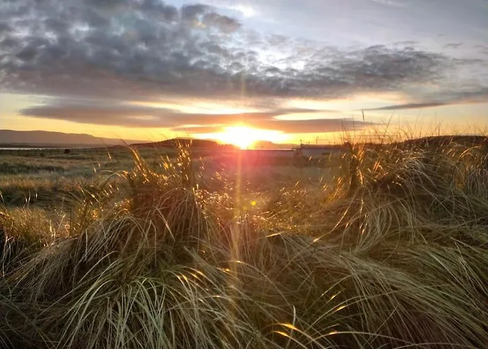 Forest View Holiday home *