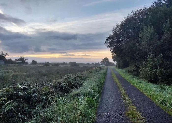 Forest View Holiday home Ballaghaderreen