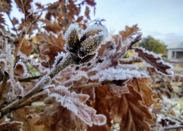 Holiday home Forest View Ballaghaderreen